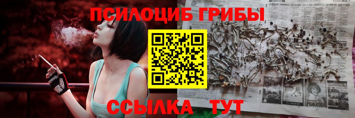 Галлюциногенные грибы ЛСД  Вход с VPN  Псков  Галлюциногенные грибы Psilocybe 